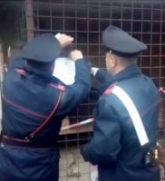 I cani salvati dai Carabinieri le armi e i collari elettrici sequestrati (6) ok