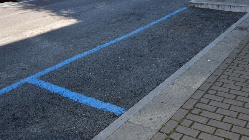 Strisce blu, esenzioni e affidamento, i dubbi del centrodestra ...